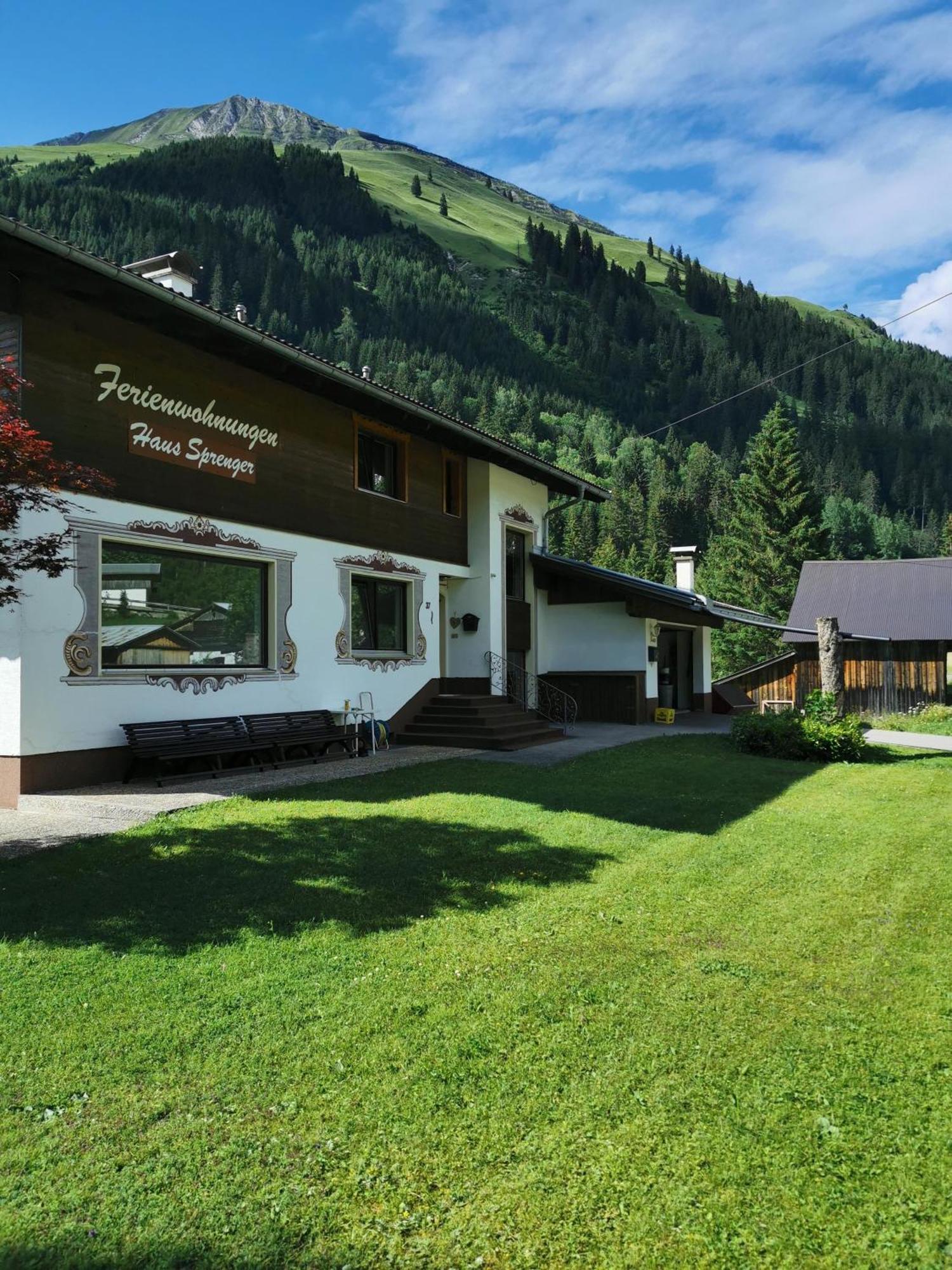 Апартаменты Haus Sprenger Haeselgehr Экстерьер фото